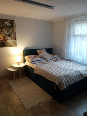 APARTAMENT z aneksem kuchennym BARBARKI